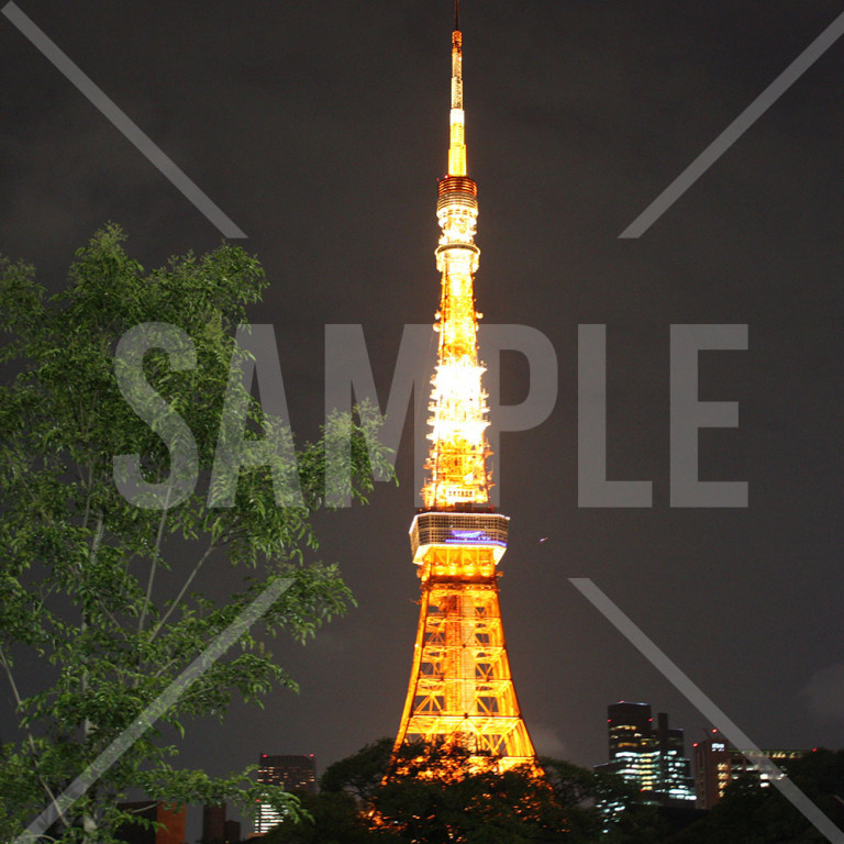 東京タワーのランドマークライトアップ