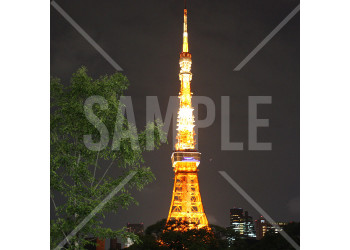 東京タワーのランドマークライトアップ