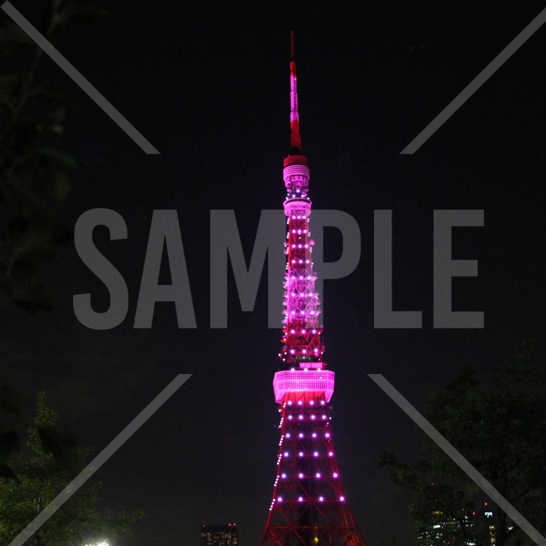 東京タワー ピンクリボン乳がん早期発見啓発 ライトアップ