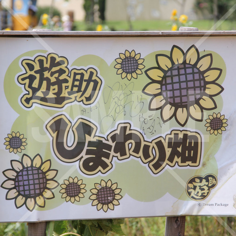 神奈川県 三浦半島 夏 ソレイユの丘 遊助ひまわり畑の看板
