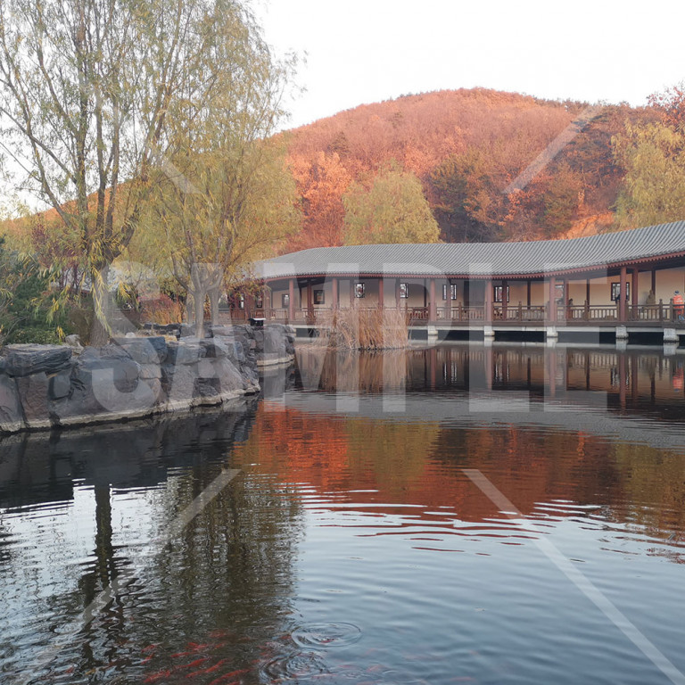 中国 大連（Dalian） 横山寺 秋に紅葉する山と池の中の赤い魚