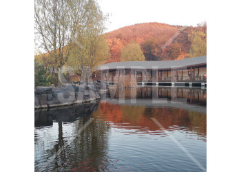 中国 大連（Dalian） 横山寺 秋に紅葉する山と池の中の赤い魚