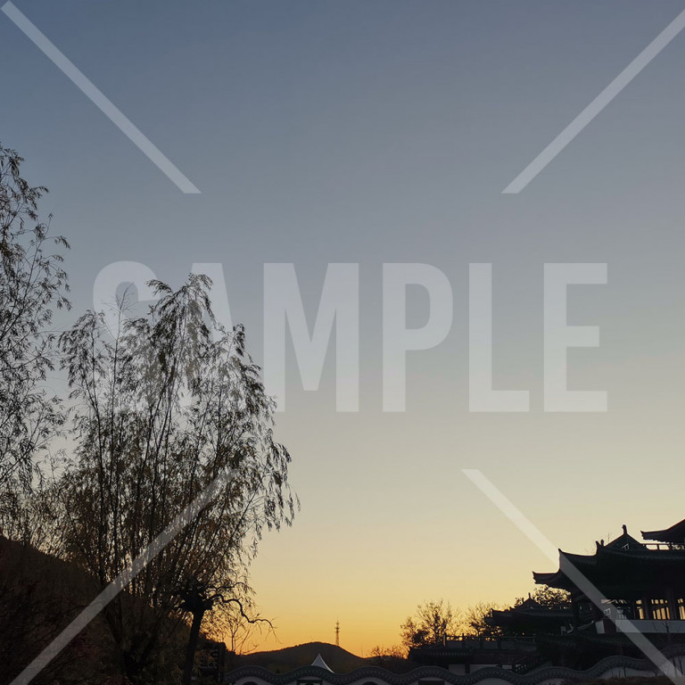 中国 大連（Dalian） 横山寺の夕暮れ 夕焼け空と木のシルエット