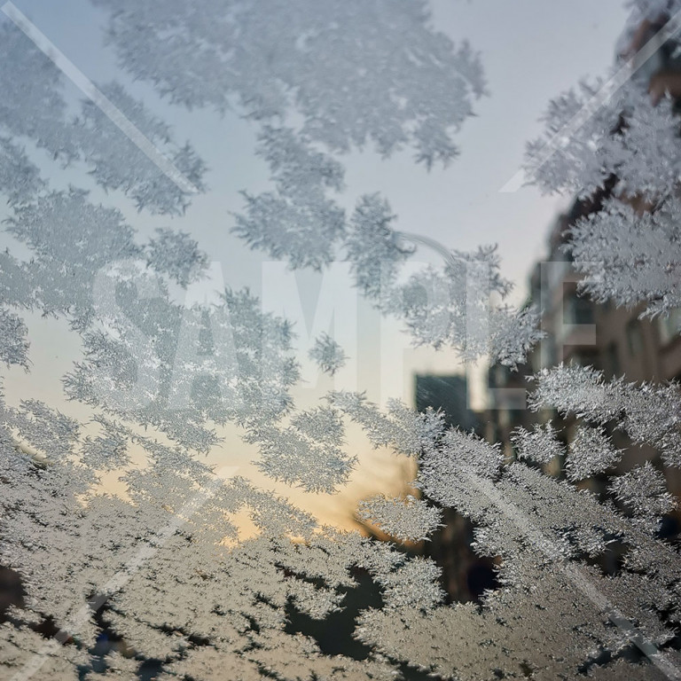 氷がついた自動車の窓ガラス 霜がついたフロントガラス