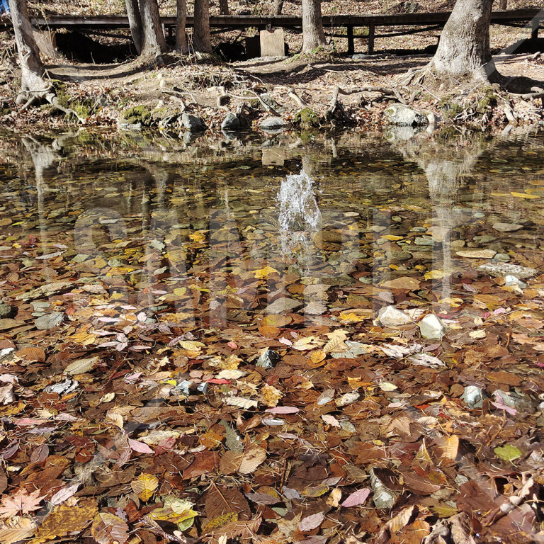 中国 本渓（Benxi）関門山 関門山国家森林公園の川と落葉 水面に弾ける水しぶき