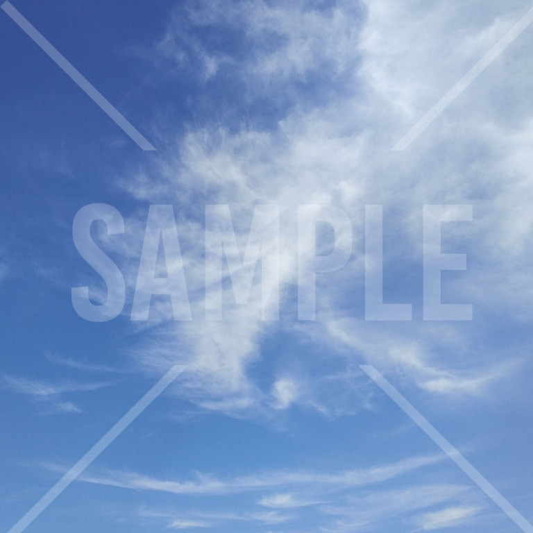 青い夏空と白い雲 広い空とたくさんの白い風車
