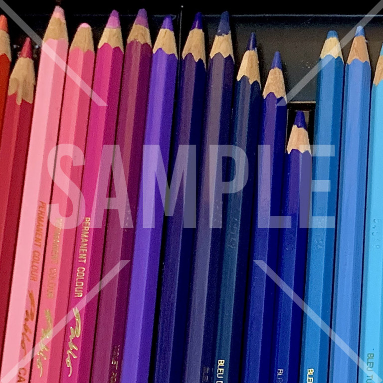箱に並べられた色鉛筆