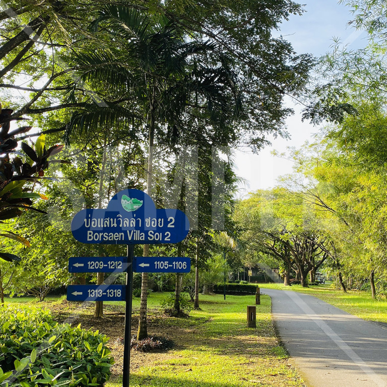 タイ Phang Nga ProvinceのBor Saen Villaの木と道路